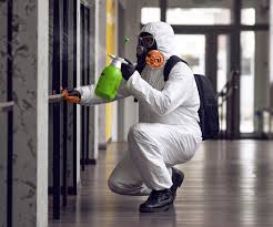 Environmental Consulting for Mold Prevention in Ben Avon, PA